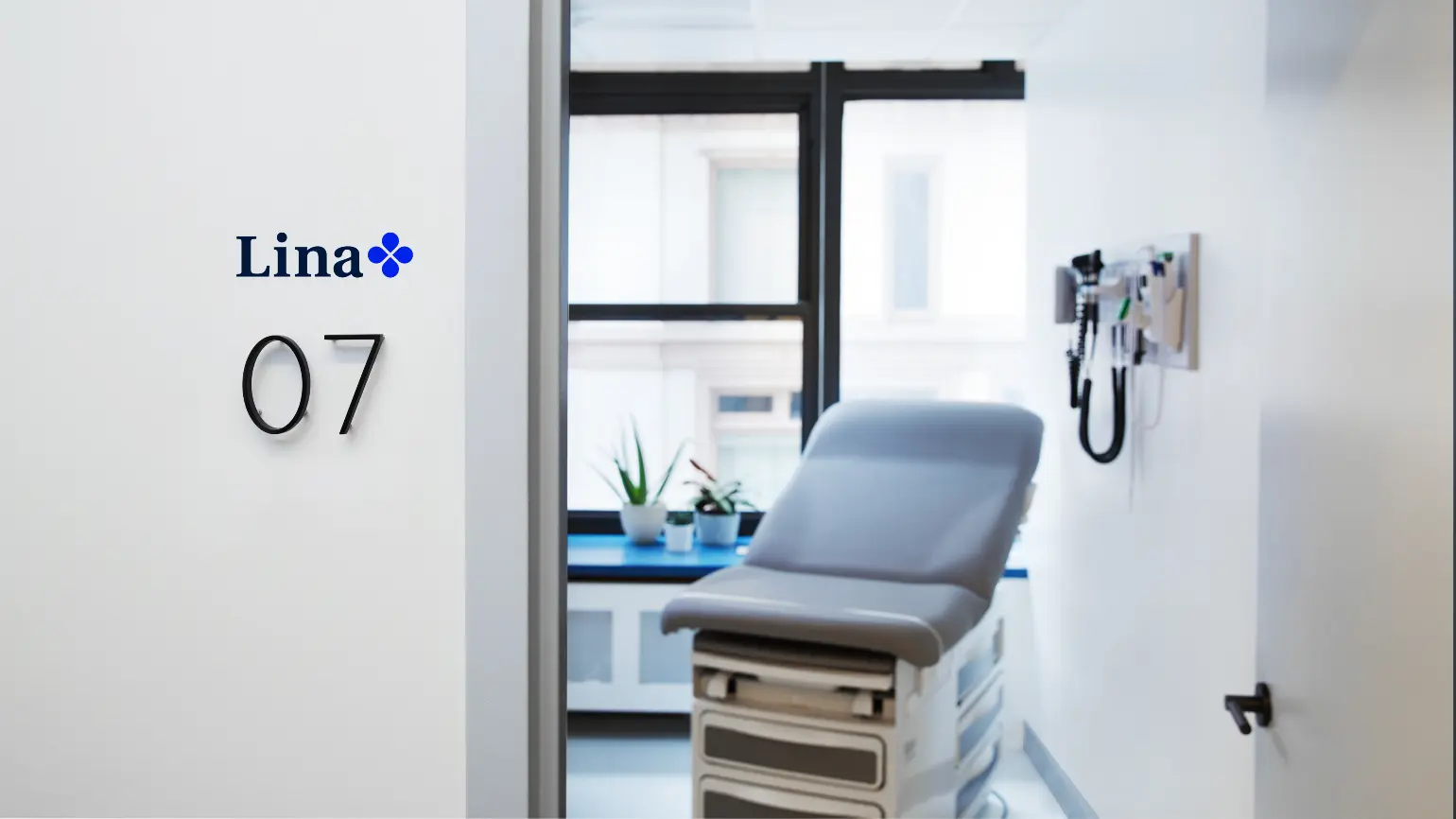 Lina Medical Coworking or Flex Space
