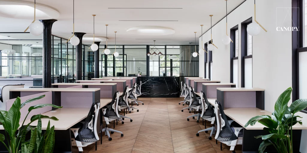 CANOPY, a coworking space in San Francisco for the mature professional crowd
