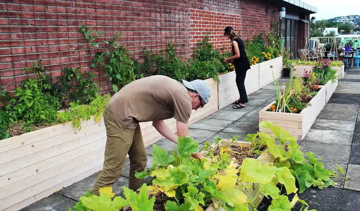 Enterspace greenhouse amenity