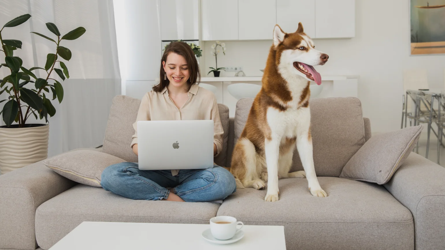 Benefits of dogs in a coworking space