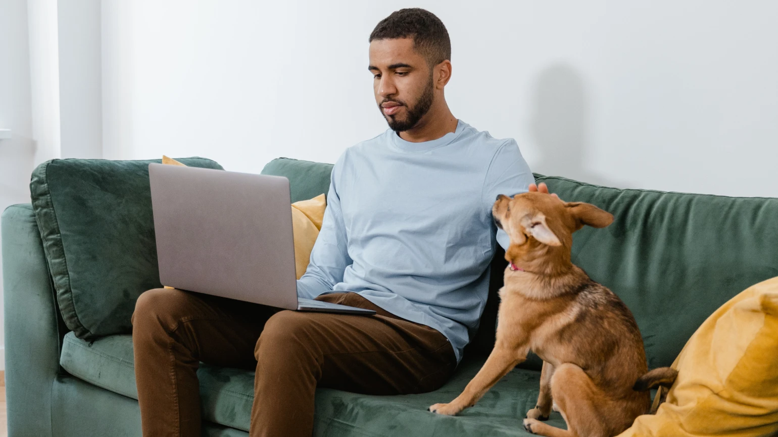Pet dog with a remote worker in a pet-friendly coworking space
