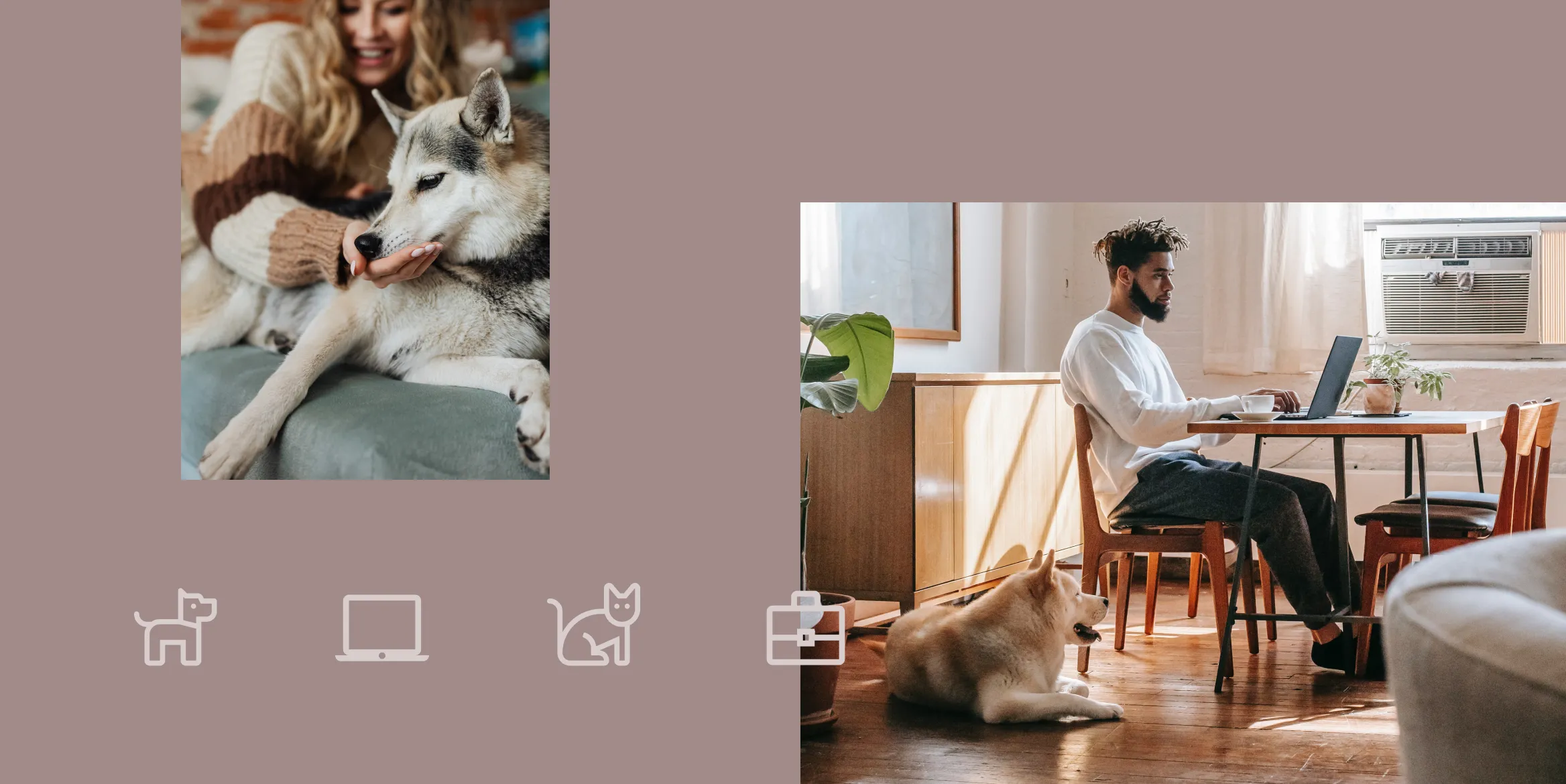 Pet-friendly coworking spaces