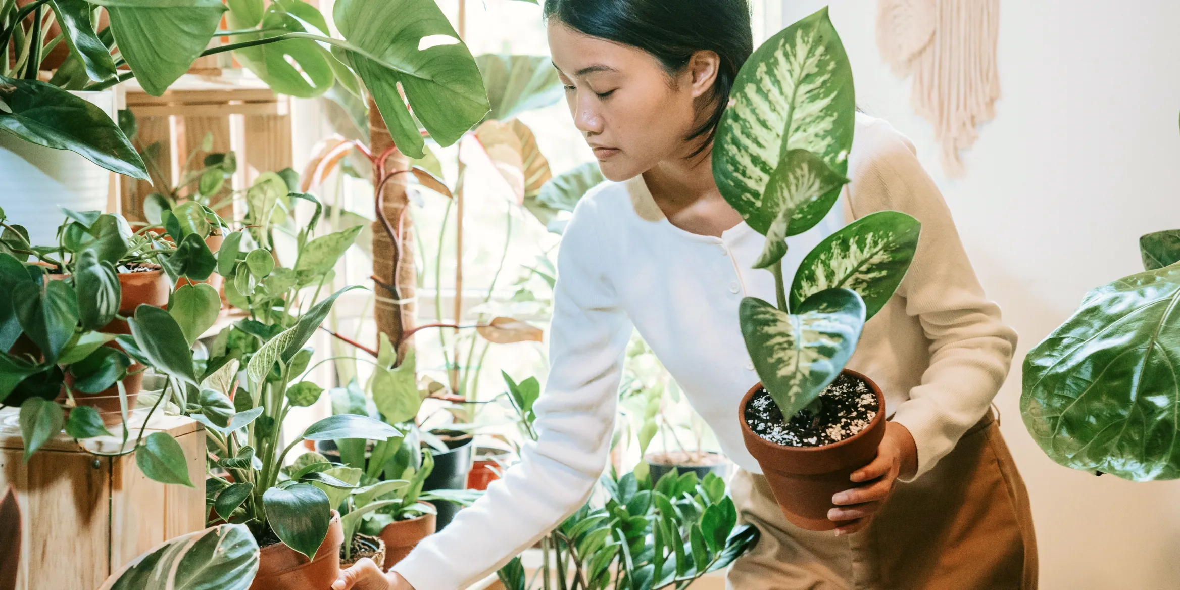 Natural Lighting in Eco Friendly Coworking Space