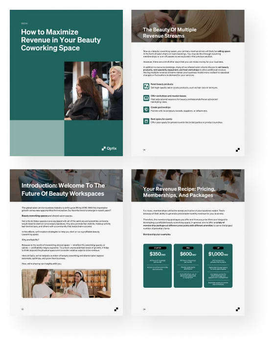 shared salon eBook